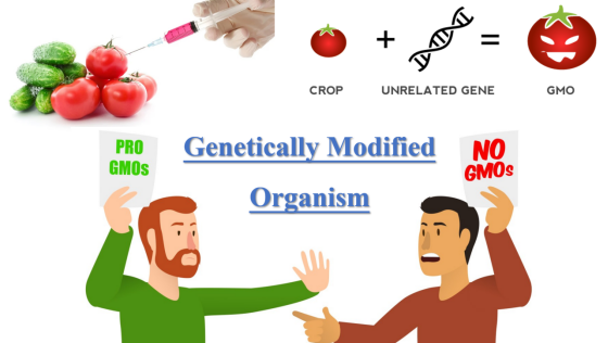 20210328689853.png image.png